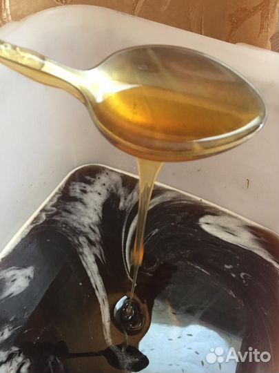 Мёд Липа, Цветочный, Гречишный оптом от 100 кг