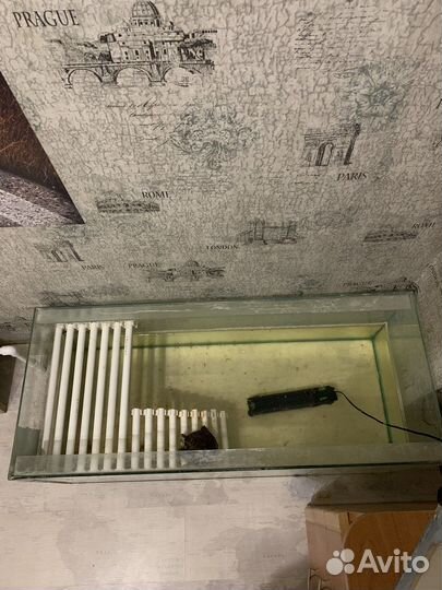 Черепаха с аквариумом