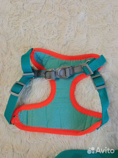 Шлейка для маленькой собаки с поводком