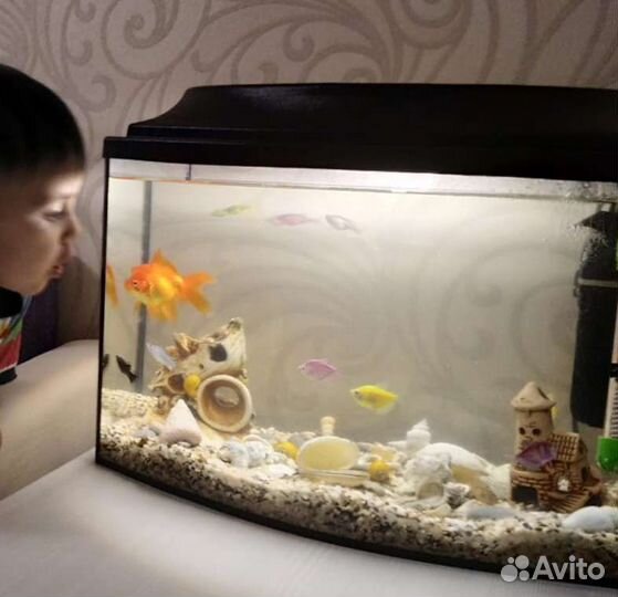 Аквариум на 45 л со всем необходимым