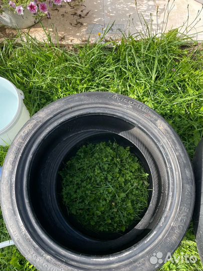 Altenzo Sports Comforter Plus 205/45 R16