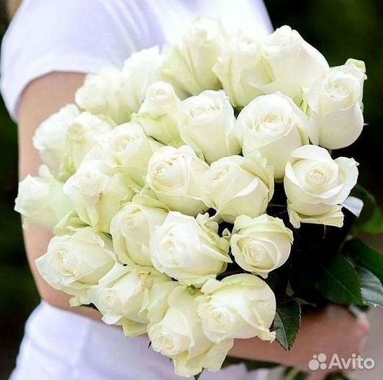 101 роза цветы букеты доставка 25 51 101 роза