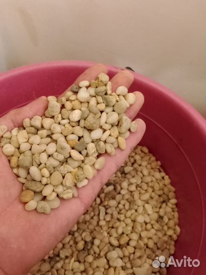 Грунт для аквариума