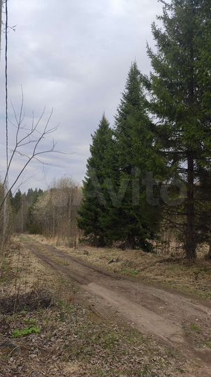 Участок 20 сот. (ИЖС)