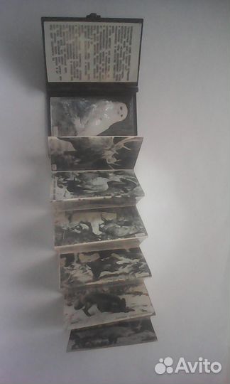 Мини книжка медь СССР природа красн. края отл