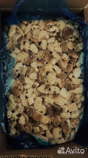Грибы шиитаке цена за 1 кг