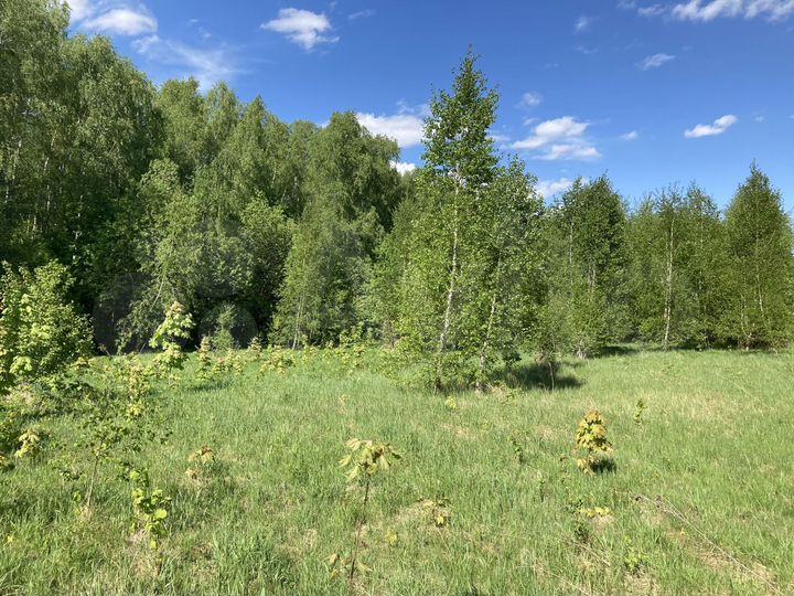 Участок 13,8 сот. (ИЖС)