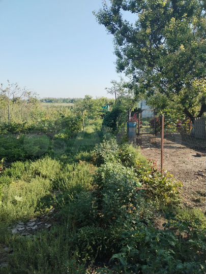 Дом 40 м² на участке 40 сот.