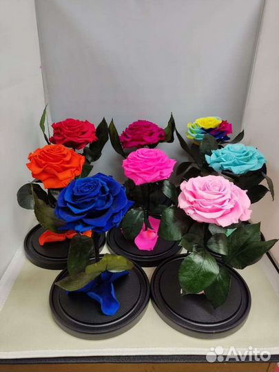 Роза в колбе оптом и в розницу