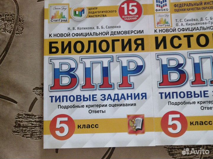 Грамматика английского языка 5 класс. Впр 5 класс