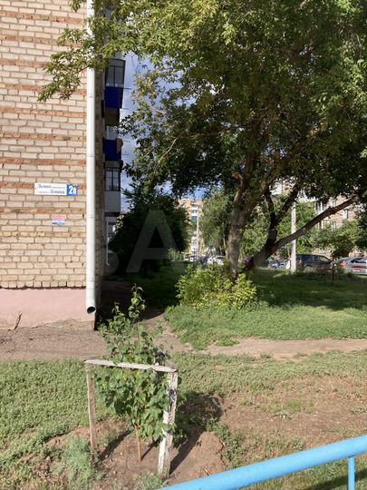 3-к. квартира, 50,6 м², 3/5 эт.