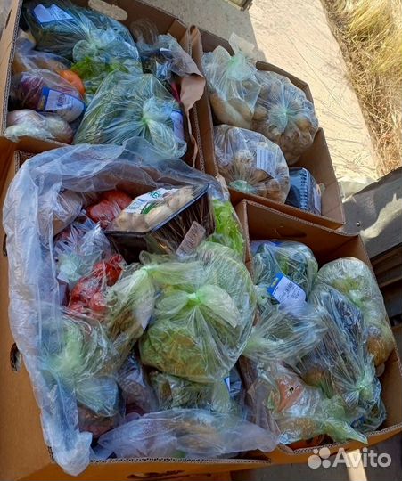 Списанные продукты на корм животным