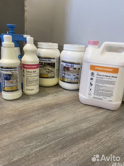 Моющий пылесос в аренду