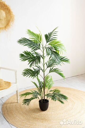 Искусственное дерево Пальма Ховея