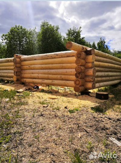 Срубы домов бань