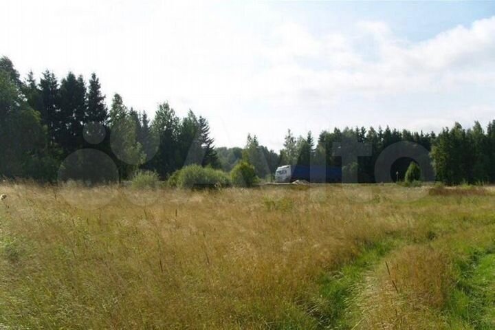 Участок 50 сот. (ИЖС)