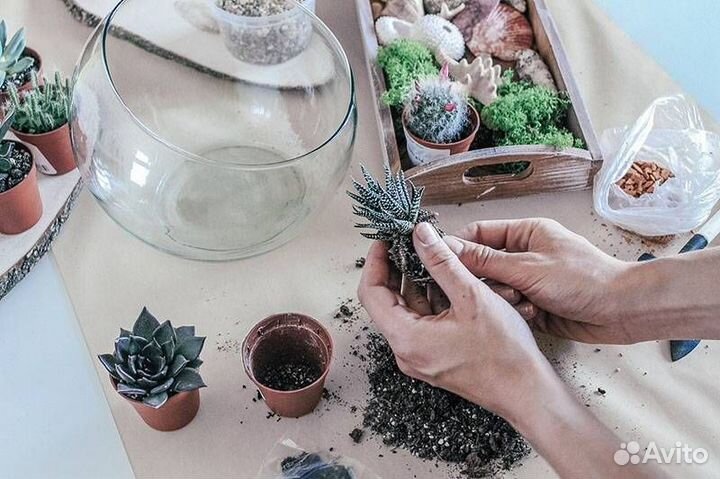 Мастер-класс по изготовлению флорариума