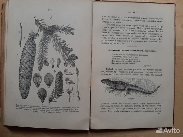 Редкая старинная книга