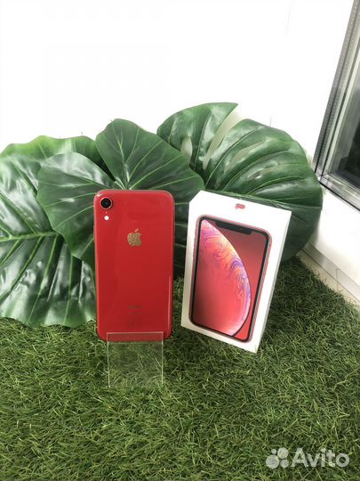 iPhone Xr, 128 ГБ