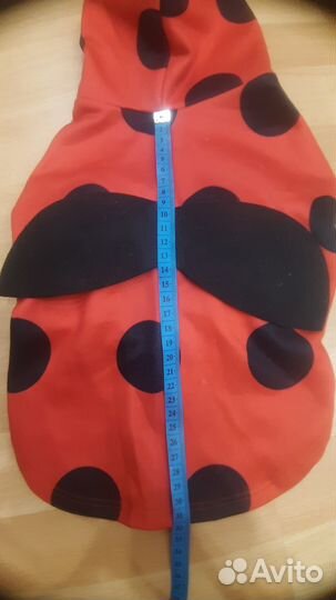 Костюм для собаки