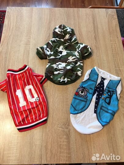 Одежда для собак