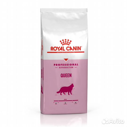 Для котят и кошек Babycat, Queen 4 кг роял канин