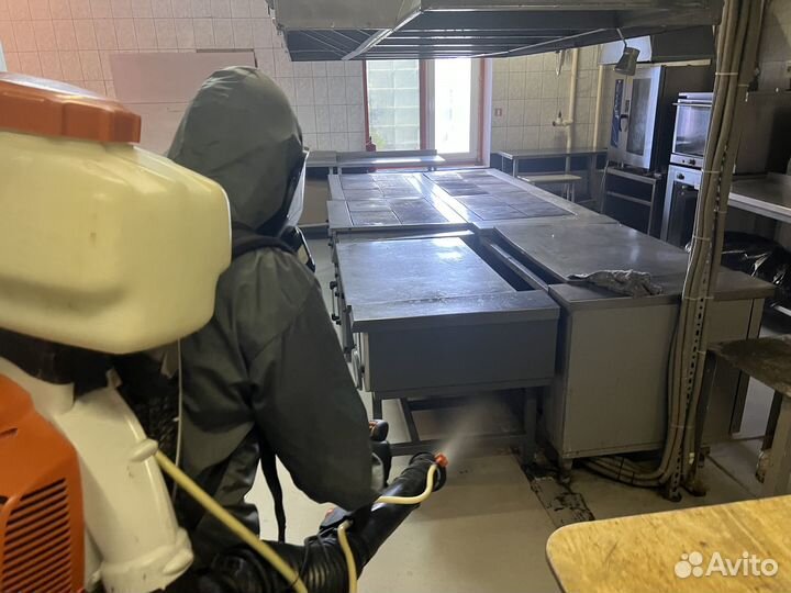 Дезинфекция Уничтожение обработка тараканов клопов