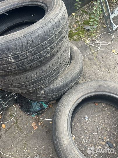 Maxxis Pragmatra MP10