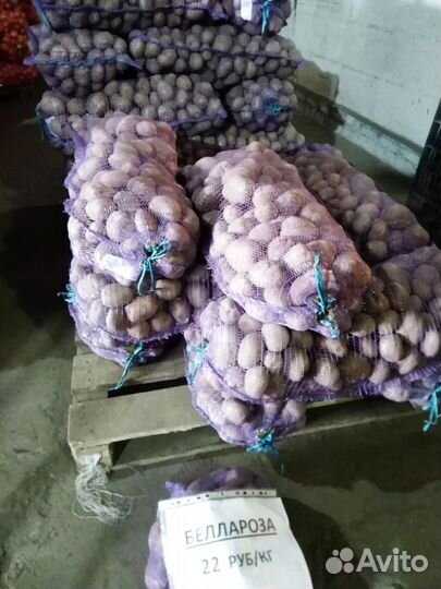 Картофель доставка бесплатно Гала, Пикассо и т.д