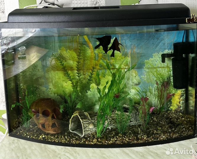 Аквариум 100 л