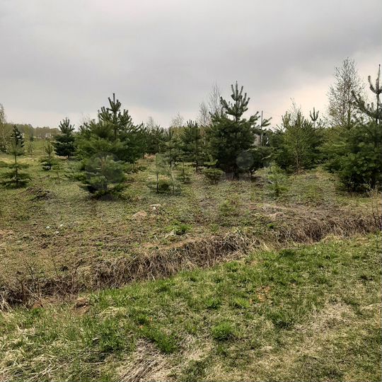 Участок 12 сот. (СНТ, ДНП)