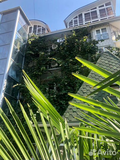 Администратор