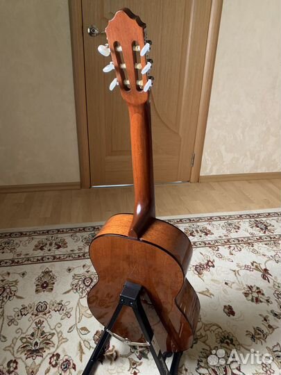 Гитара Cort AC 100 SG