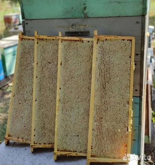 Рамка сот мед большая