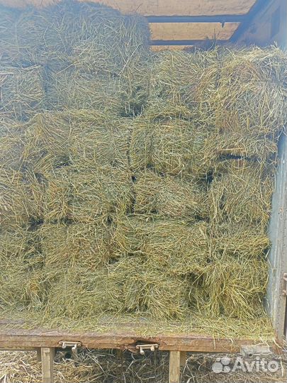 Сено, солома, подстилка в тюках