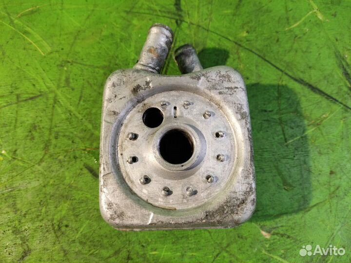 Радиатор масляный Volkswagen Passat B5 1.6