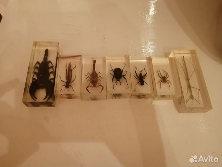 Насекомые в эпоксидной смоле