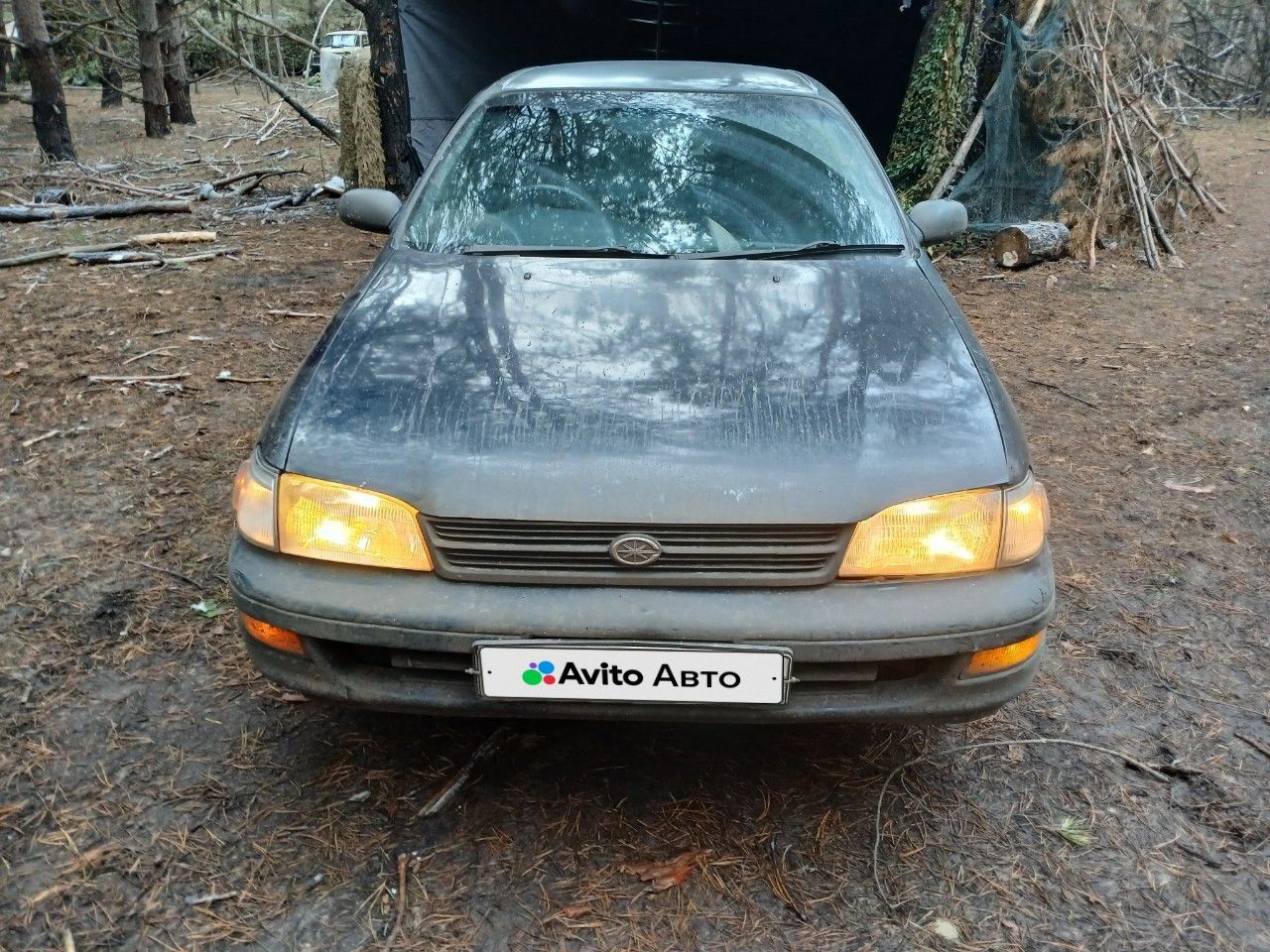 Toyota Corona