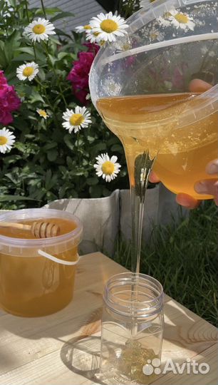 Мед акациевый, горная акация (карагана)