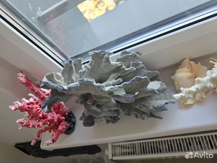 Оформление аквариума