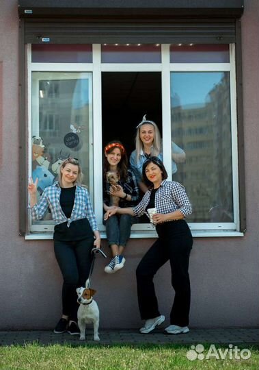 Стрижка собак и кошек