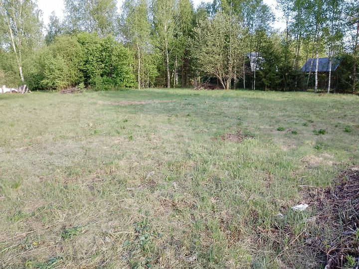 Участок 8 сот. (СНТ, ДНП)