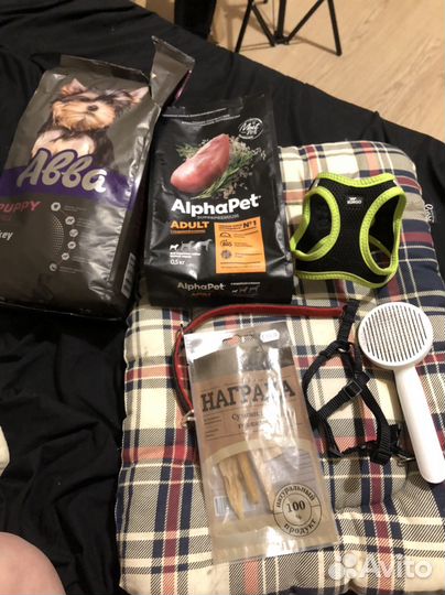 Отдаю, для щенка или собачки маленькой породы