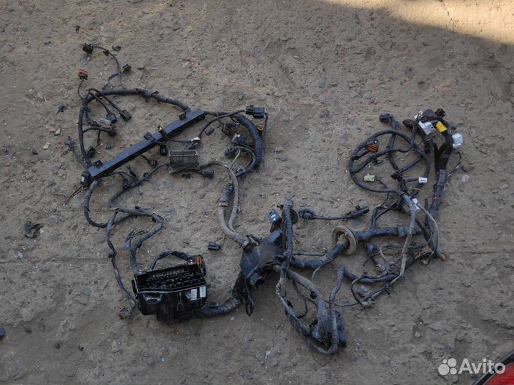 Проводка двигателя Kia Rio 3