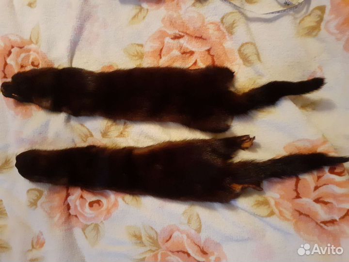 Мех норки шкурки