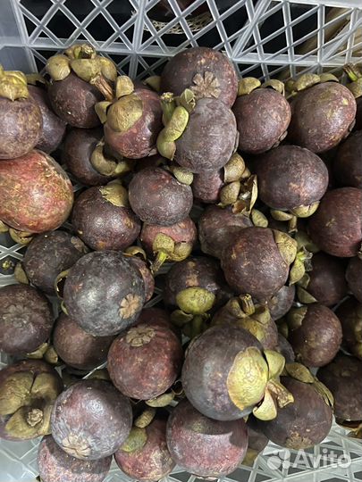 Мангустин свежий