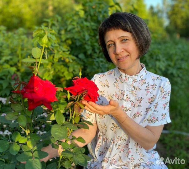 Репетитор по русскому языку подготовка к ОГЭ