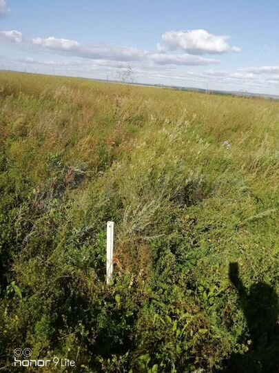 Участок 13,67 га (СНТ, ДНП)