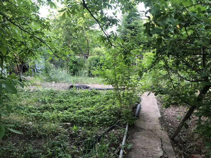 Участок 13,5 сот. (ИЖС)