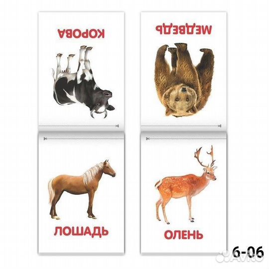 Карточки домана